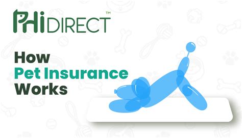 phi direct pet insurance